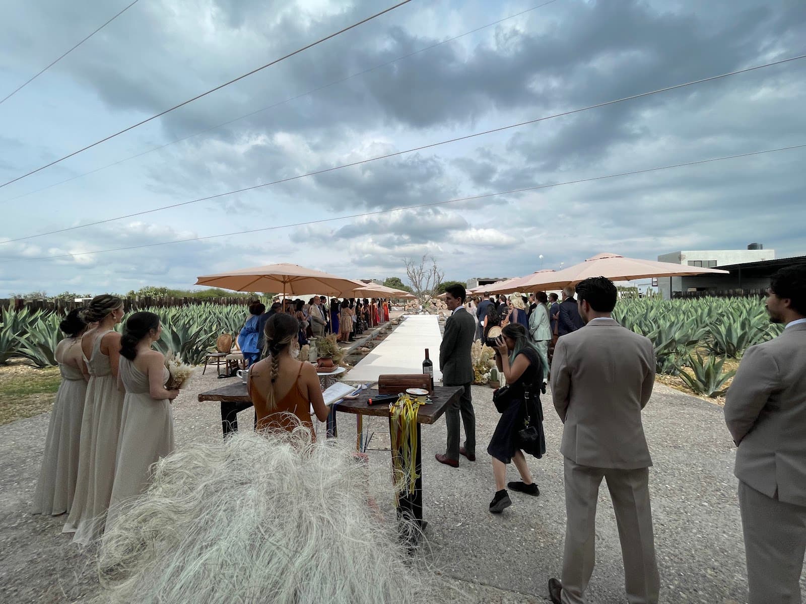 Opuntia Eventos
