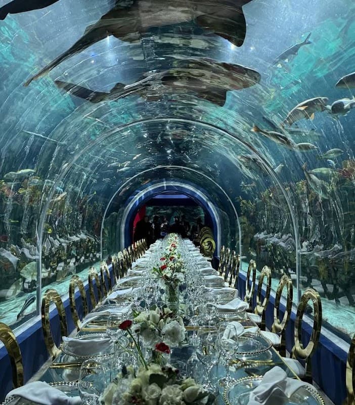 Banquetes Palaceta