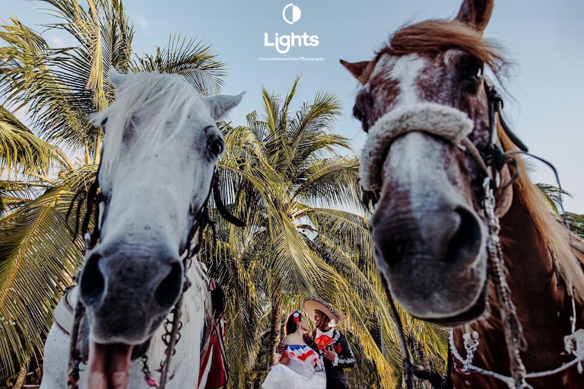 Lights Photography