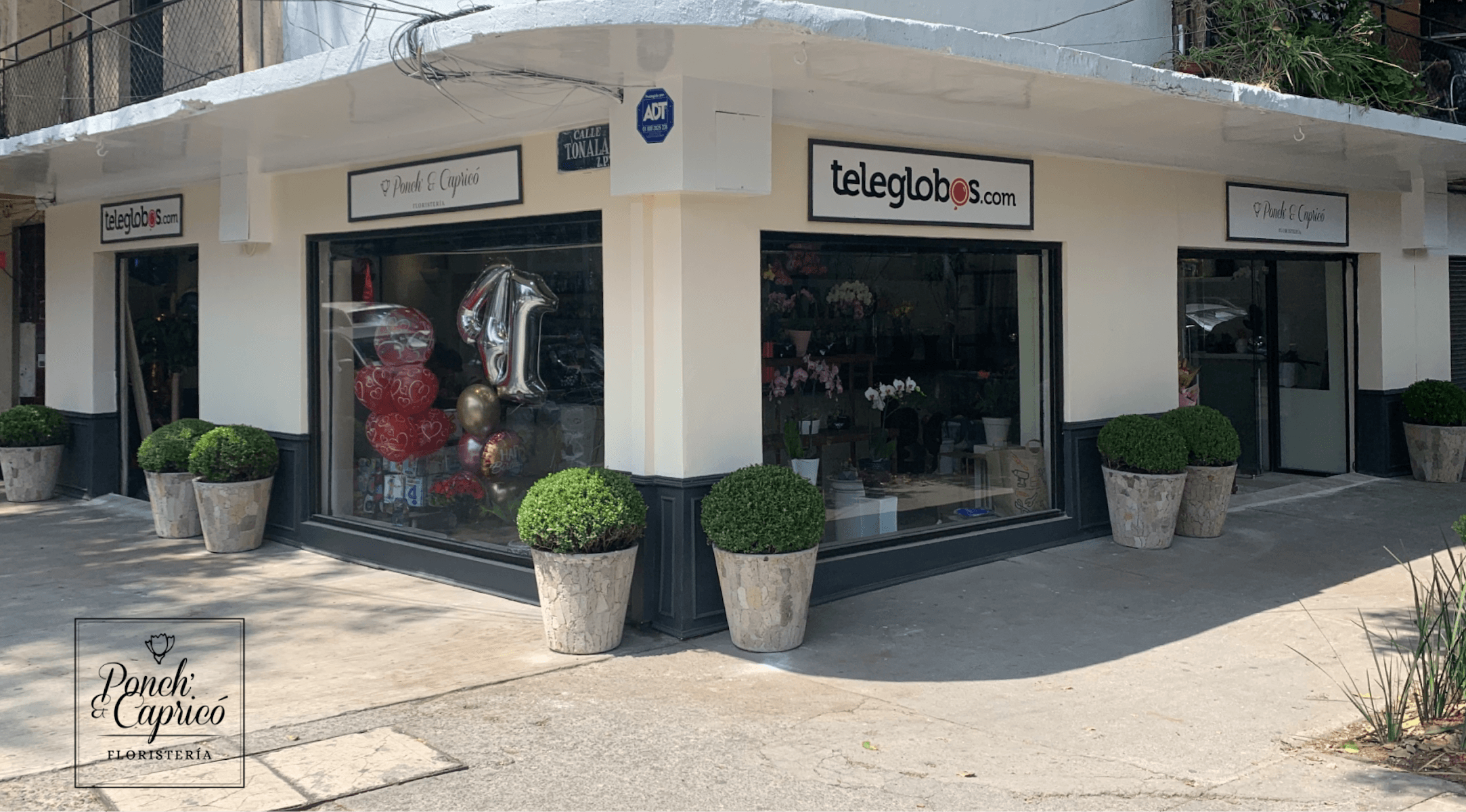 Florería Ponch' & Capricó | Envía Flores a Domicilio CDMX