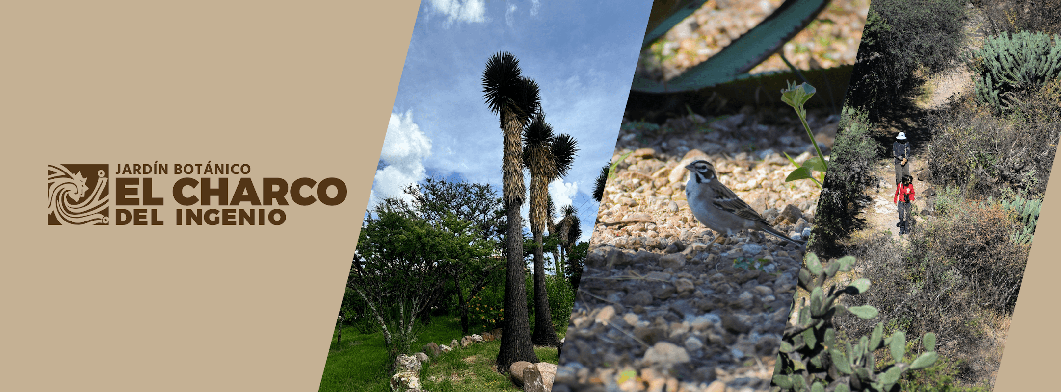 El Charco del Ingenio Jardín Botánico y Área Natural Protegida