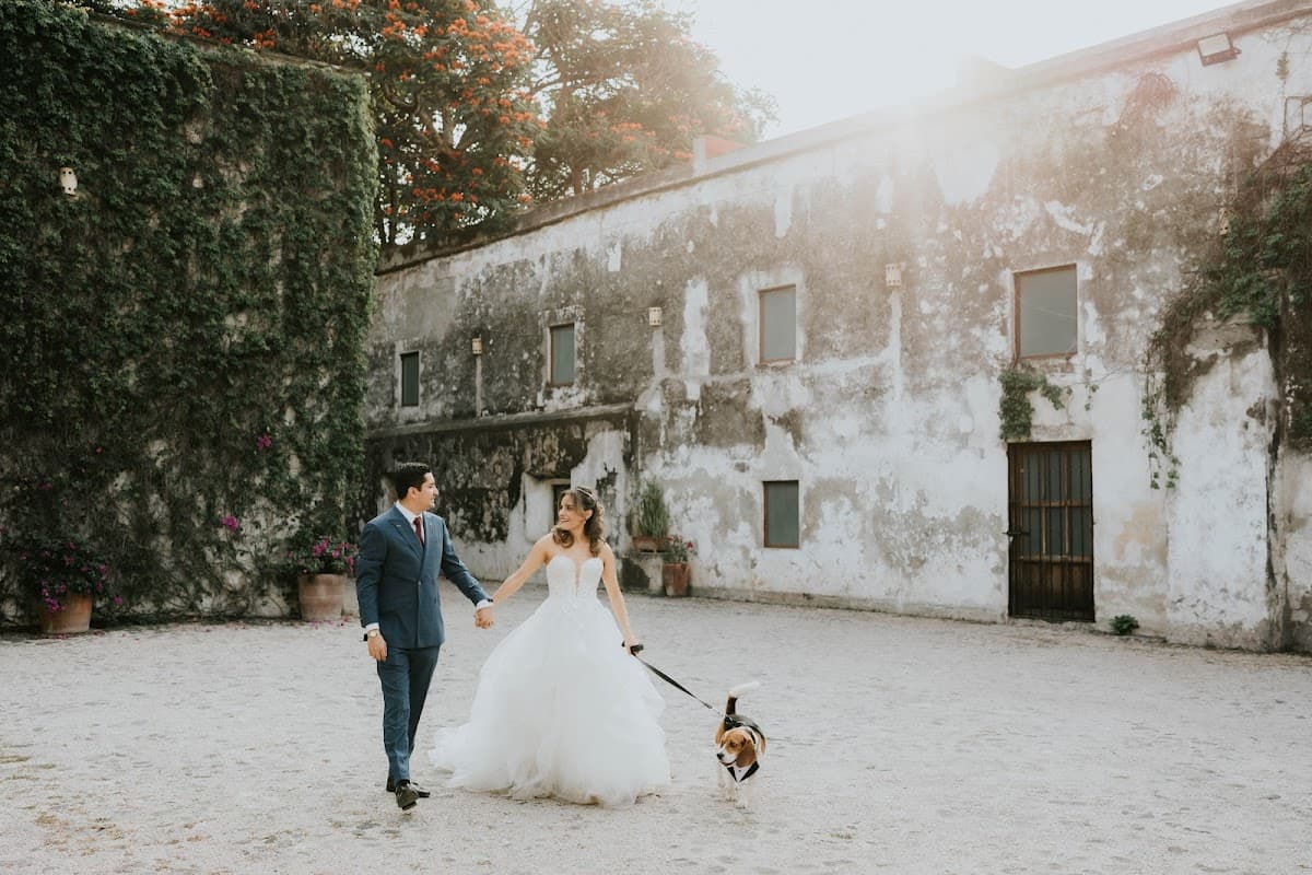 Escena Films - Fotografía y video Cuernavaca