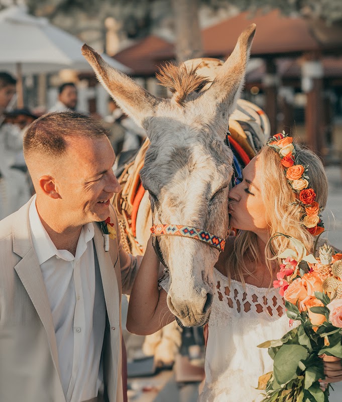 Ana Badillo Photography