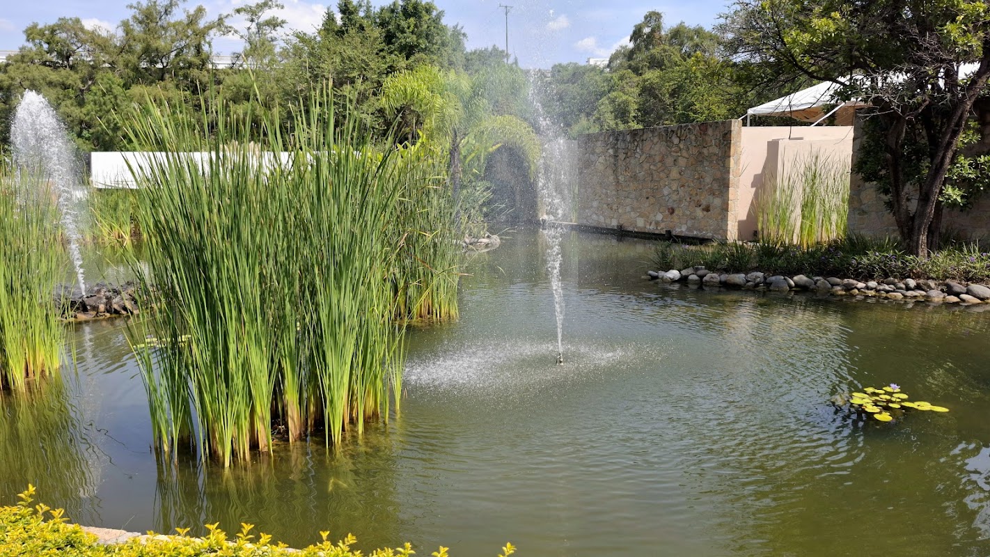 Agua Viva Jardin de Eventos