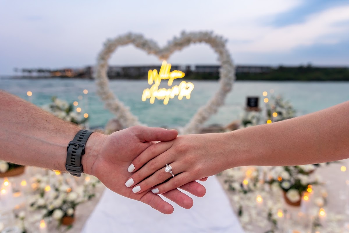 Wedding & Proposal Photographer